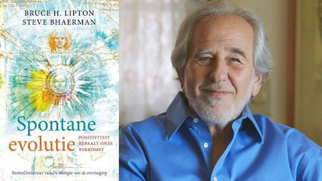 Spontane evolutie - Bruce H Lipton - Uitgelichte Afbeelding Yvonne Alefs