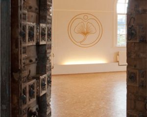 Yoga en Qigong bij Yogadreams in Zaandam