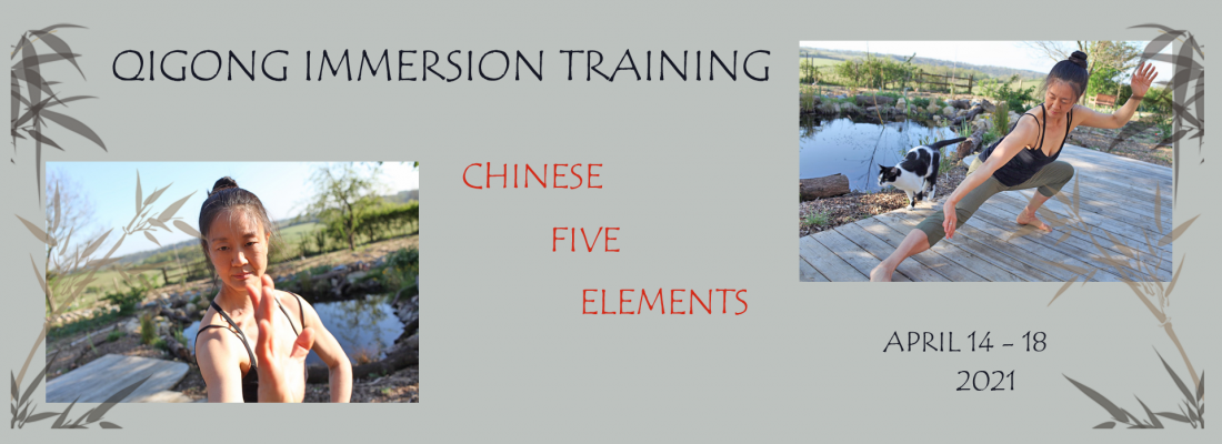 Qigong Immersion Five Elements 2021 - Mimi Kuo Deemer - Banner Yvonne Alefs