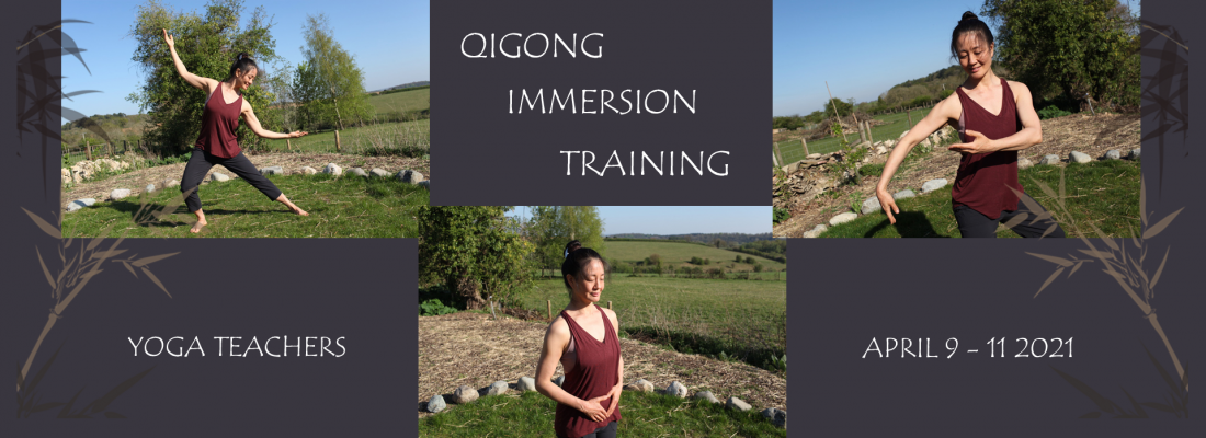 Qigong Immersion 2021 - Mimi Kuo Deemer - Banner Yvonne Alefs