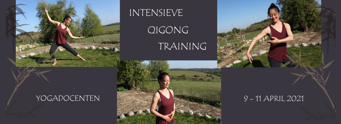 Intensieve Qigong Training 2021 - Mimi Kuo Deemer - Banner Yvonne Alefs