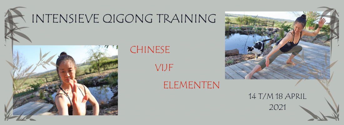 Intensieve Qigong Training 5 elementen 2021 - Mimi Kuo Deemer - Banner Yvonne Alefs