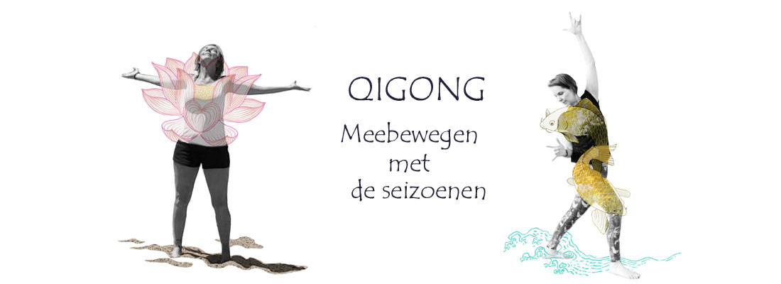 Qigong Meebewegen met de seizoenen