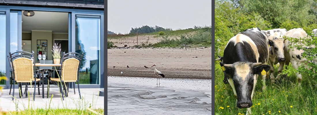 Qigong Natuurweekend Bommelerwaard