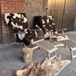 Lounge stoelen