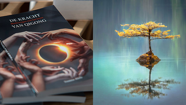 Bewust leven - Qigong - December