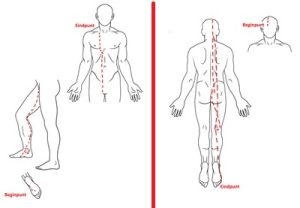 Winter Blog - Nier en Blaas meridianen